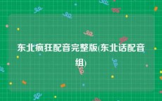东北疯狂配音完整版(东北话配音组)