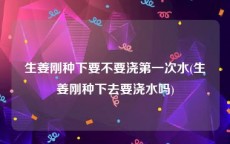 生姜刚种下要不要浇第一次水(生姜刚种下去要浇水吗)