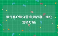 银行客户细分营销(银行客户细分营销方案)