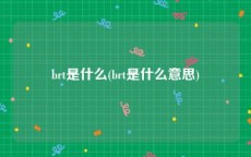 brt是什么(brt是什么意思)