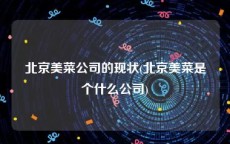 北京美菜公司的现状(北京美菜是个什么公司)