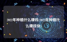 2022年种植什么赚钱(2022年种植什么赚钱快)