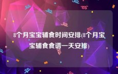 8个月宝宝辅食时间安排(8个月宝宝辅食食谱一天安排)