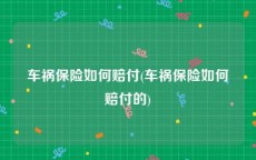 车祸保险如何赔付(车祸保险如何赔付的)