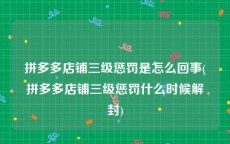 拼多多店铺三级惩罚是怎么回事(拼多多店铺三级惩罚什么时候解封)