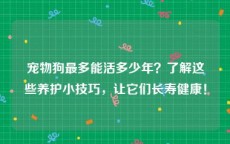 宠物狗最多能活多少年？了解这些养护小技巧，让它们长寿健康！