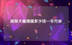 蔬菜大棚薄膜多少钱一平方米