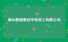 泰山集团泰安华电热工有限公司