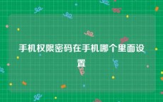 手机权限密码在手机哪个里面设置