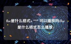 flac是什么格式u *** 可以播放吗(flac是什么格式怎么播放)