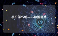 手机怎么给switch加速网络