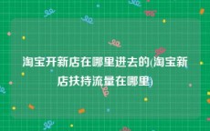 淘宝开新店在哪里进去的(淘宝新店扶持流量在哪里)