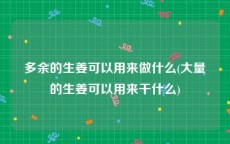 多余的生姜可以用来做什么(大量的生姜可以用来干什么)