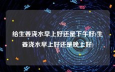 给生姜浇水早上好还是下午好(生姜浇水早上好还是晚上好)