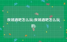 夜场酒吧怎么玩(夜场酒吧怎么玩的)