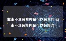 业主不交装修押金可以装修吗(业主不交装修押金可以装修吗)