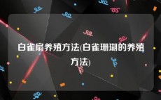 白雀扇养殖方法(白雀珊瑚的养殖方法)