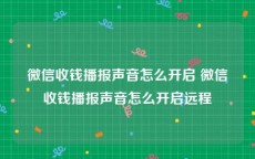 微信收钱播报声音怎么开启 微信收钱播报声音怎么开启远程