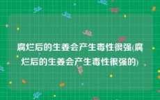 腐烂后的生姜会产生毒性很强(腐烂后的生姜会产生毒性很强的)