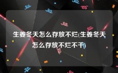 生姜冬天怎么存放不烂(生姜冬天怎么存放不烂不干)