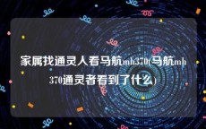 家属找通灵人看马航mh370(马航mh370通灵者看到了什么)