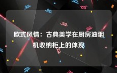 欧式风情：古典美学在厨房油烟机收纳柜上的体现