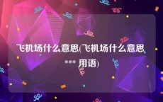飞机场什么意思(飞机场什么意思 *** 用语)