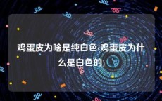 鸡蛋皮为啥是纯白色(鸡蛋皮为什么是白色的)