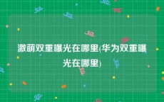 激萌双重曝光在哪里(华为双重曝光在哪里)