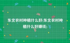 东北农村种植什么好(东北农村种植什么好赚钱)