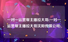 一对一运营帮主播拉大哥(一对一运营帮主播拉大哥沈阳传媒公司)