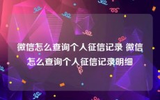 微信怎么查询个人征信记录 微信怎么查询个人征信记录明细
