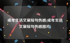 成年生活文案短句伤感(成年生活文案短句伤感图片)