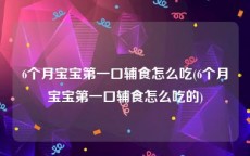 6个月宝宝第一口辅食怎么吃(6个月宝宝第一口辅食怎么吃的)