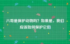 八哥是保护动物吗？如果是，我们应该如何保护它们