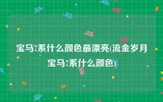 宝马7系什么颜色最漂亮(流金岁月宝马7系什么颜色)
