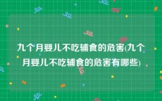 九个月婴儿不吃辅食的危害(九个月婴儿不吃辅食的危害有哪些)