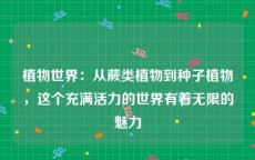 植物世界：从蕨类植物到种子植物，这个充满活力的世界有着无限的魅力