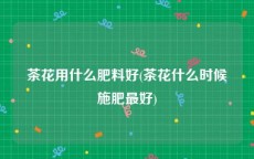 茶花用什么肥料好(茶花什么时候施肥最好)