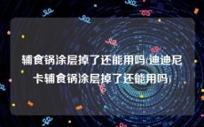 辅食锅涂层掉了还能用吗(迪迪尼卡辅食锅涂层掉了还能用吗)