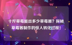 十斤草莓能出多少草莓酱？探秘草莓酱制作的惊人转化过程！