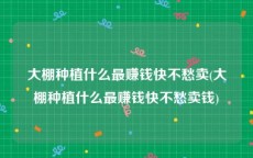 大棚种植什么最赚钱快不愁卖(大棚种植什么最赚钱快不愁卖钱)