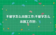 不留学怎么出国工作(不留学怎么出国工作好)