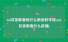 dnf女圣职者转什么职业好平民(dnf女圣职者什么武器)