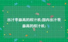 出汁率最高的榨汁机(国内出汁率最高的榨汁机)