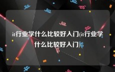 it行业学什么比较好入门(it行业学什么比较好入门)