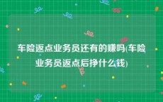 车险返点业务员还有的赚吗(车险业务员返点后挣什么钱)