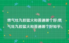 燃气灶九腔猛火和普通哪个好(燃气灶九腔猛火和普通哪个好知乎)