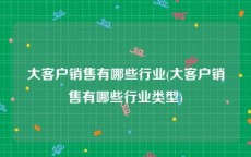 大客户销售有哪些行业(大客户销售有哪些行业类型)