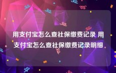 用支付宝怎么查社保缴费记录 用支付宝怎么查社保缴费记录明细